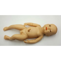 مدل نوزاد با نمایش بند ناف